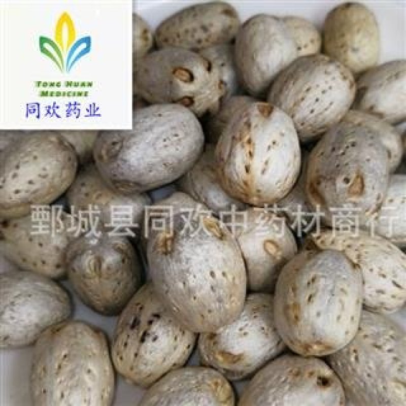 【南酸枣五眼果】@【同欢药材】中药材批发供应规格齐