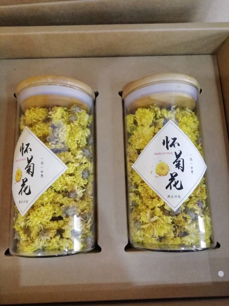 怀菊花药性原产地直达菊花金丝皇菊原产地直达