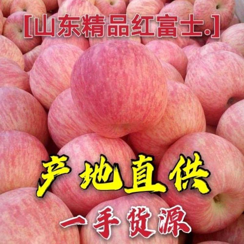 苹果山东红富士苹果商超电商供货货源充足质廉价优