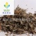 【南鹤虱】@【同欢药材】中药材批发供应规格齐全