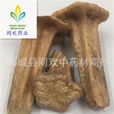 【南瓜蒂】@【同欢药材】中药材批发供应规格齐全