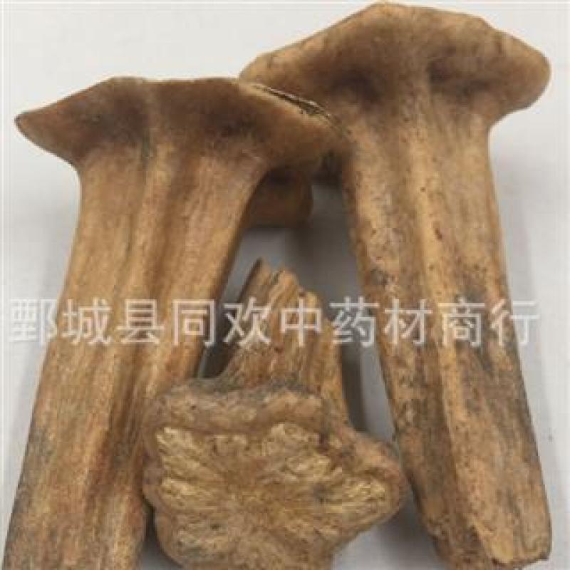 【南瓜蒂】@【同欢药材】中药材批发供应规格齐全