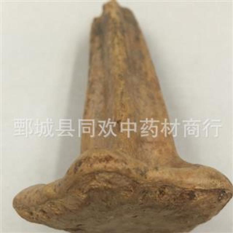【南瓜蒂】@【同欢药材】中药材批发供应规格齐全