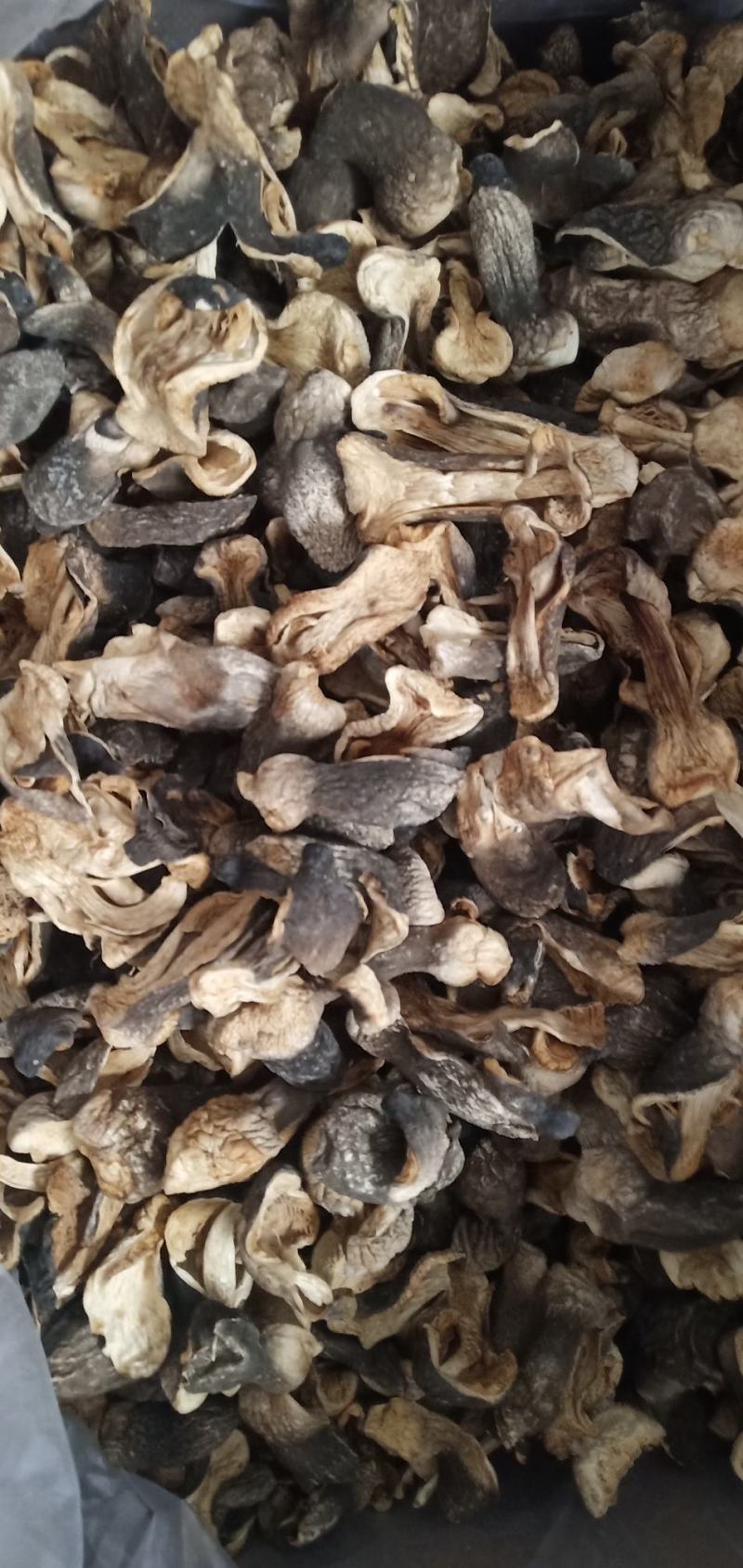 自种干草菇，味道鲜美。质优价廉，货源充足。
