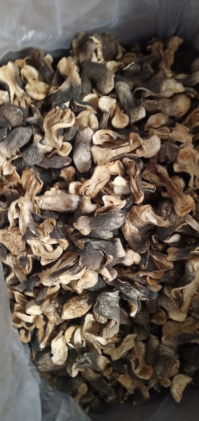自种干草菇，味道鲜美。质优价廉，货源充足。