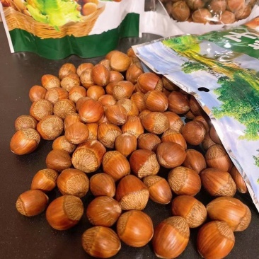 （包邮）炒熟大榛子香脆可口！长白山特产批发零售