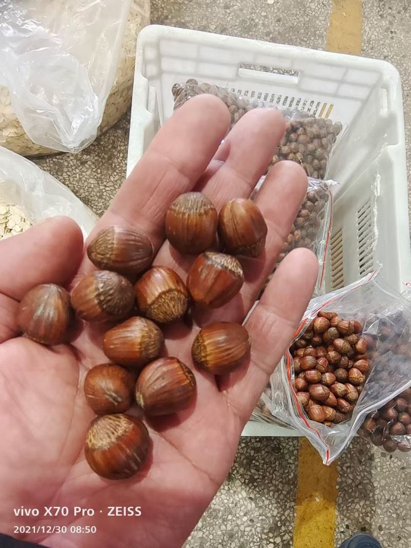 （包邮）炒熟大榛子香脆可口！长白山特产批发零售