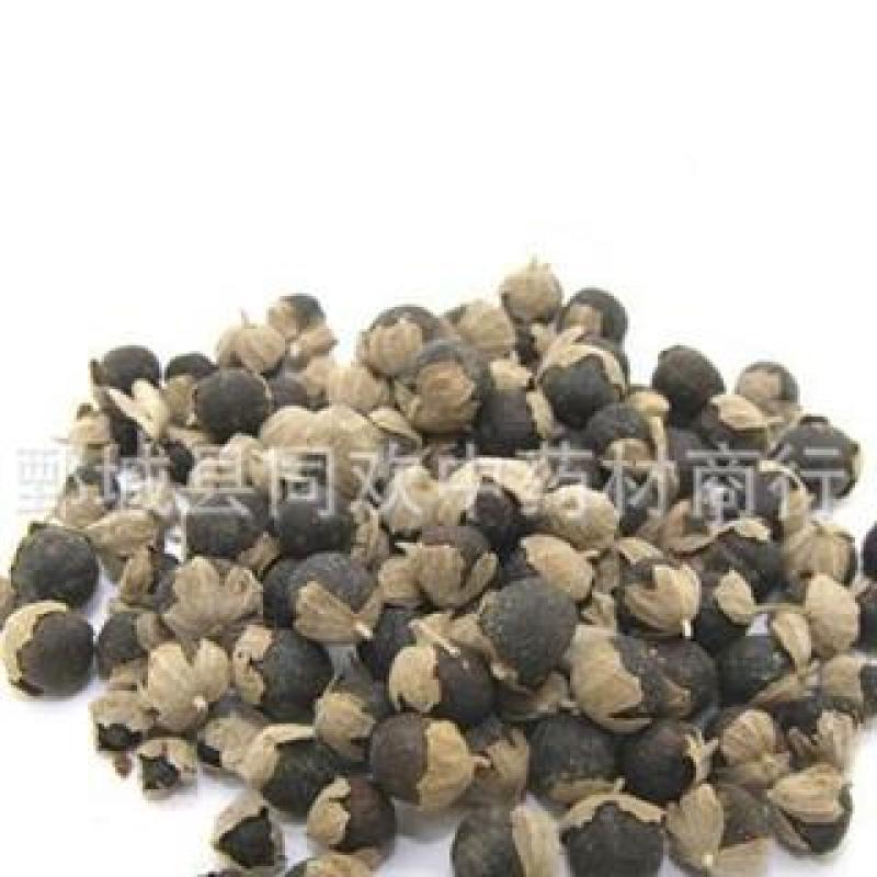 【进口大颗粒蔓荆子】@【同欢药材】中药材批发供应