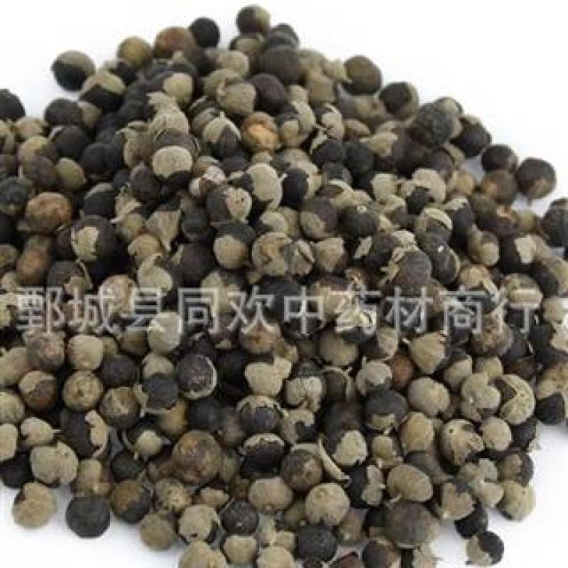 【进口大颗粒蔓荆子】@【同欢药材】中药材批发供应