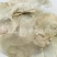 【选货木蝴蝶】@【同欢药材】中药材批发供应规格齐全