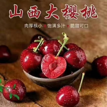 山西大棚精品大樱桃，现摘现发，接电商团购，一件代发！