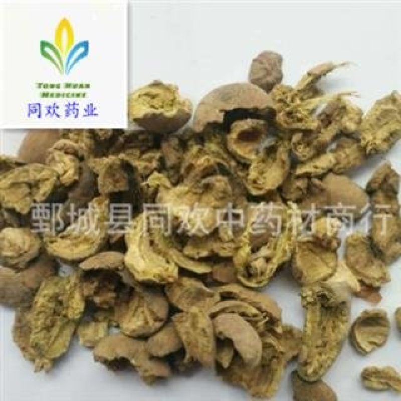 【诃子肉】@【同欢药材】中药材批发供应规格齐全量大从优