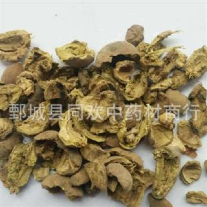 【诃子肉】@【同欢药材】中药材批发供应规格齐全量大从优