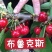 山西大棚精品大樱桃，现摘现发，接电商团购，一件代发！