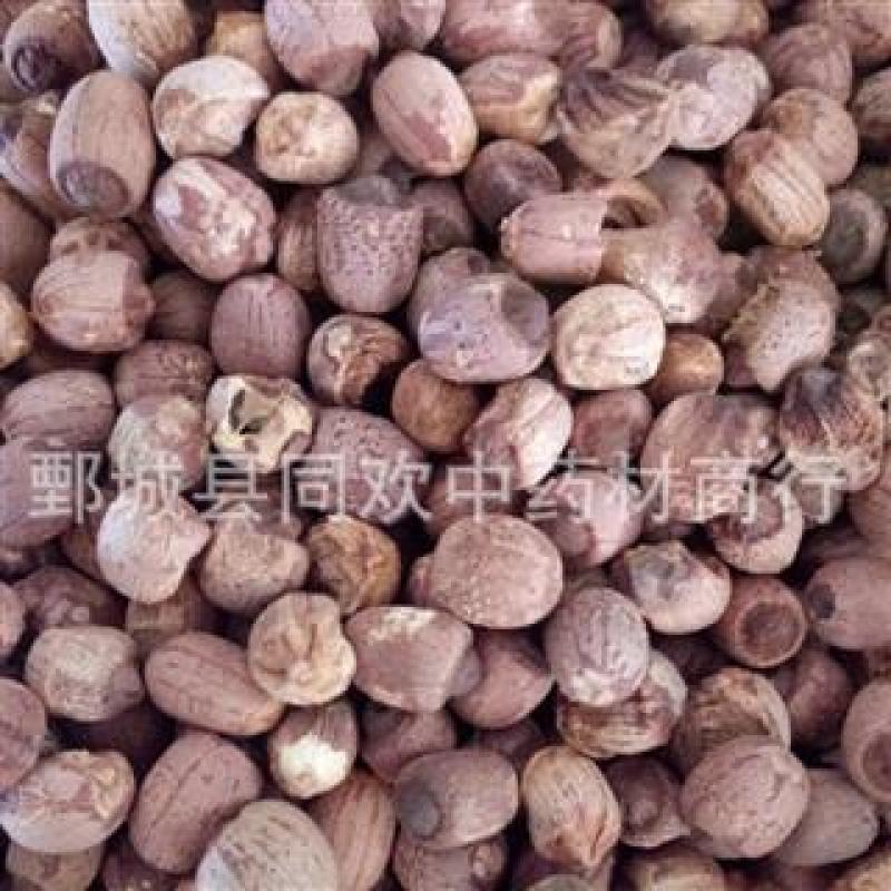 【红莲子】@【同欢药材】中药材批发供应规格齐全