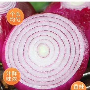 洋葱红洋葱黄洋葱紫洋葱