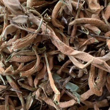 石韦【包邮】三斤起发货可批量可零售量大从优