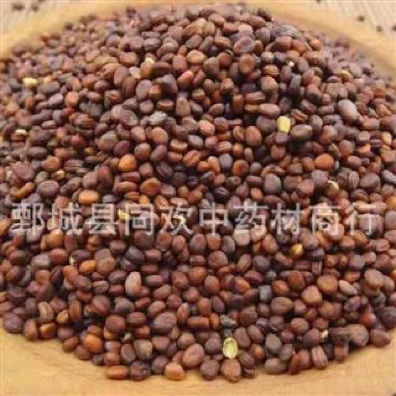【炒莱菔子】@【同欢药材】中药材批发供应规格齐全