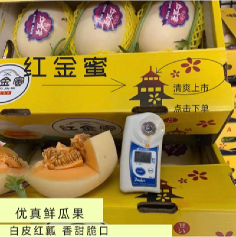 红金蜜万亩产地质量好口感好对接市场