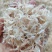 新货本港新鲜天热虾皮