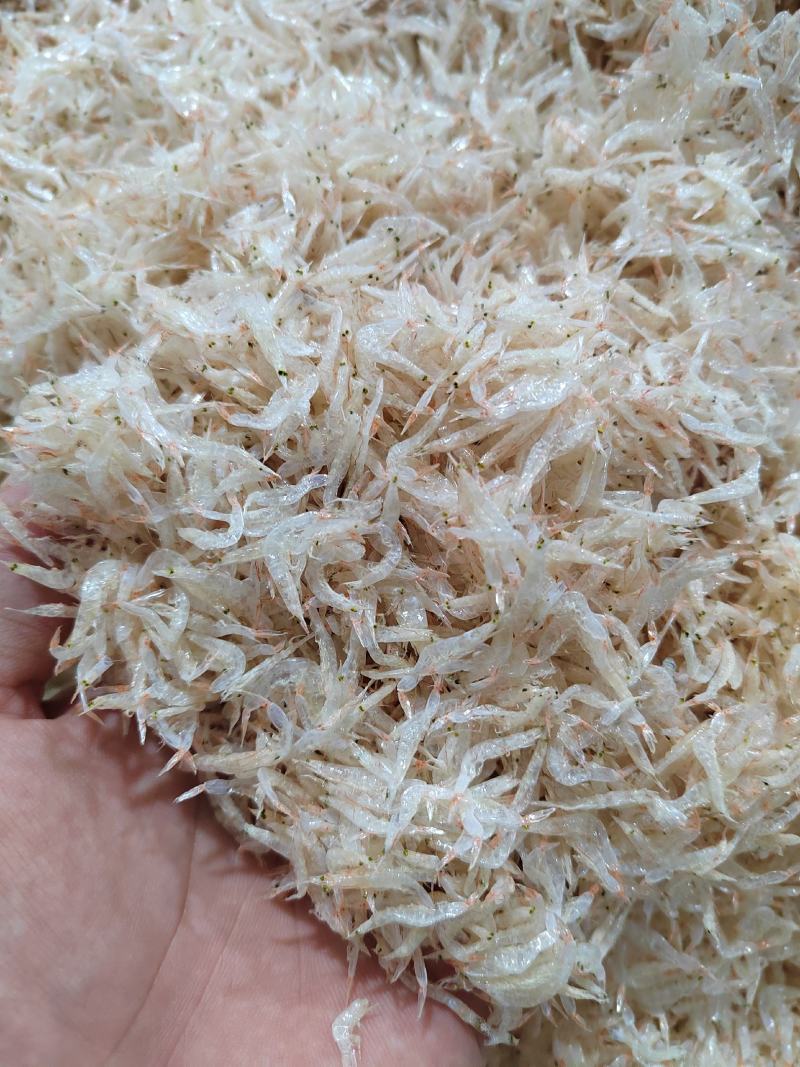 新货本港新鲜天热虾皮