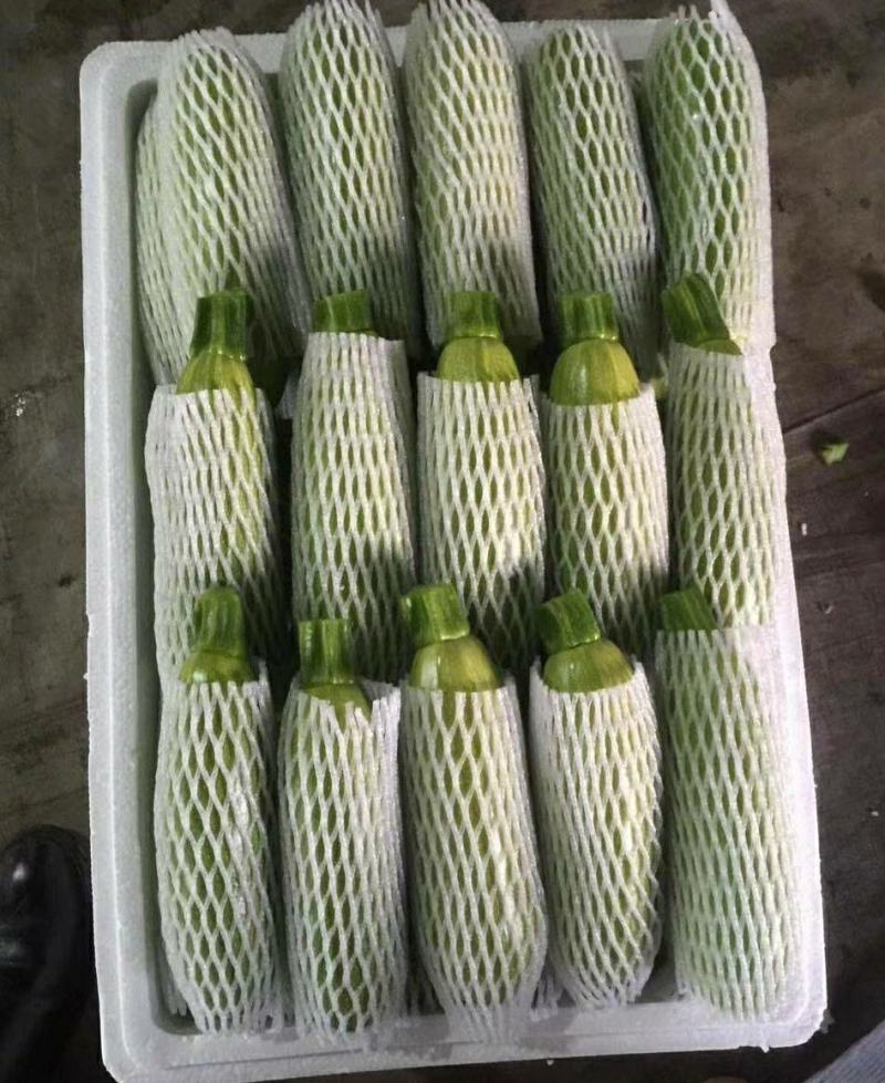 西葫芦元谋县西葫芦大量现货供应