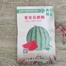 甜王麒麟瓜花麒麟入口即化高甜，特甜，卖价高