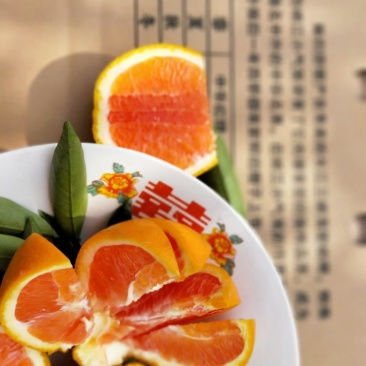 湖北脐橙中华红橙产地直发保质保量量大从优欢迎致电联系