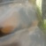 南溪芽菜青菜梅干菜扣肉调料样品