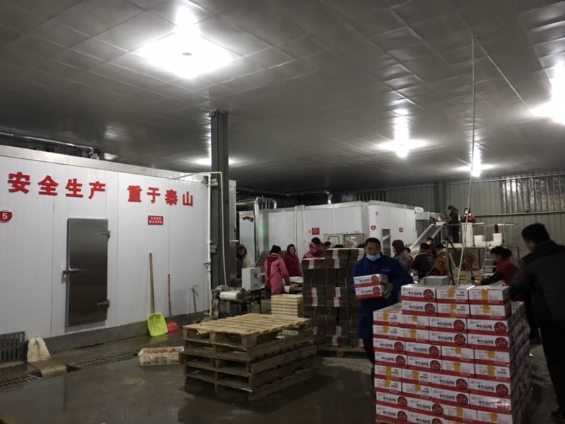 虾尾工厂，加工销售各级别龙虾尾，原料，加工，对外刨冰