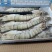 草虾/黑虎虾，标900g，10盒/件。