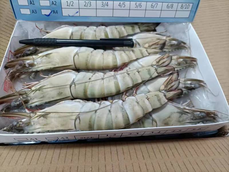 草虾/黑虎虾，标900g，10盒/件。