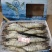 草虾/黑虎虾，标900g，10盒/件。