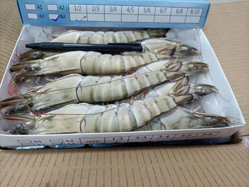 草虾/黑虎虾，标900g，10盒/件。