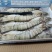 草虾/黑虎虾，标900g，10盒/件。