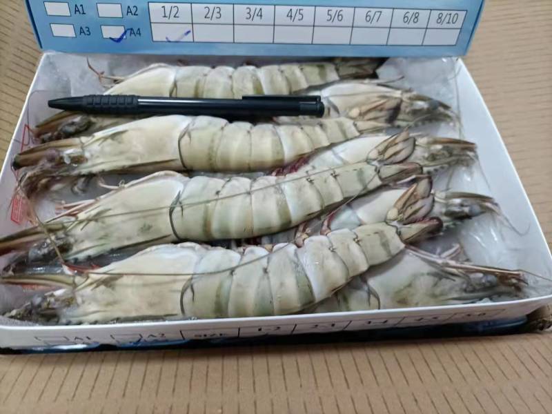 草虾/黑虎虾，标900g，10盒/件。
