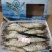 草虾/黑虎虾，标900g，10盒/件。