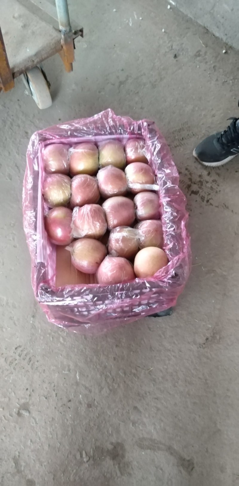 富士苹果七五以上莫代，箱装套网分屋分格