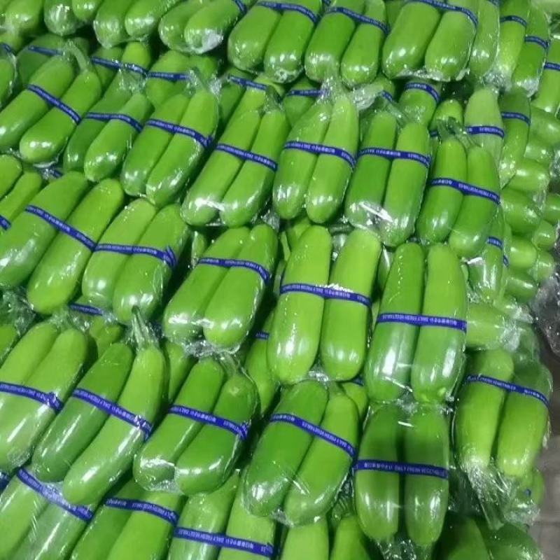 基地直供山东临沂兰陵精品西葫芦，货源充足，保质保量