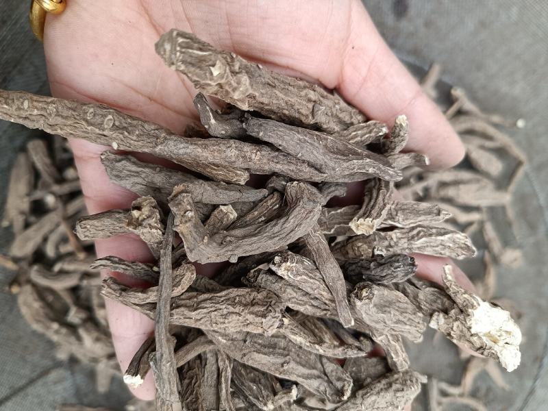 包邮一支蒿冷背一枝蒿量大从优一公斤起卖