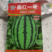 早熟甜王西瓜种子瓤红个大抢早上市大棚陆地种植