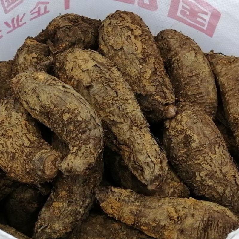 地老鼠/入地老鼠/紫茉莉根/地老鼠干货/产地直发