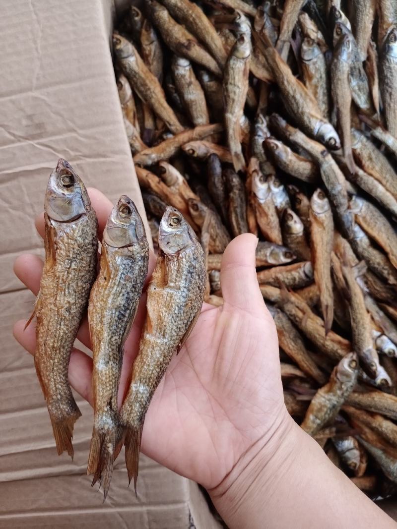 破肚刁子鱼，选子鱼，餐条鱼干（适合商超批发商经销商）