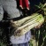 长白大葱上市中杆子直菜农现挖欢迎咨询