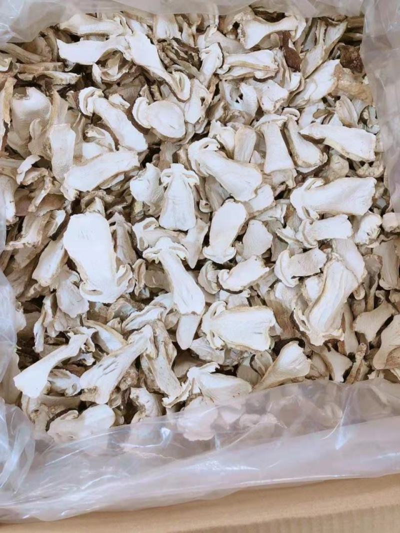 赤松茸各种品质，大量出货