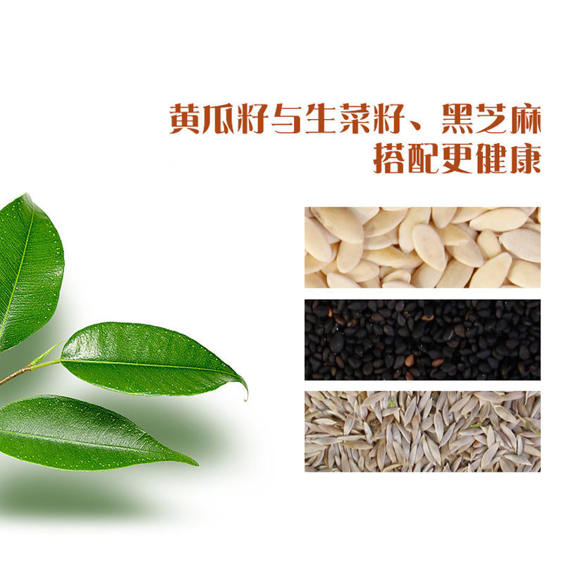 新黄瓜籽500g东北老旱黄瓜子不磨生熟籽黄瓜子