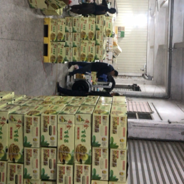 黄金百香果