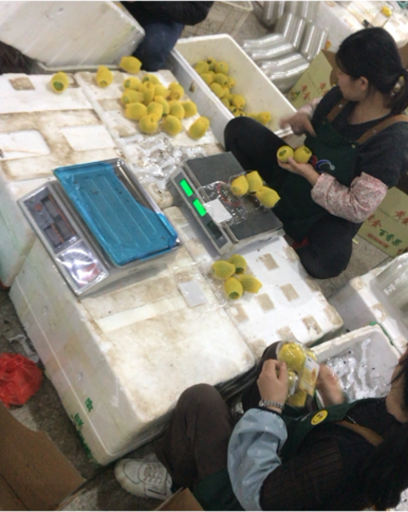 黄金百香果