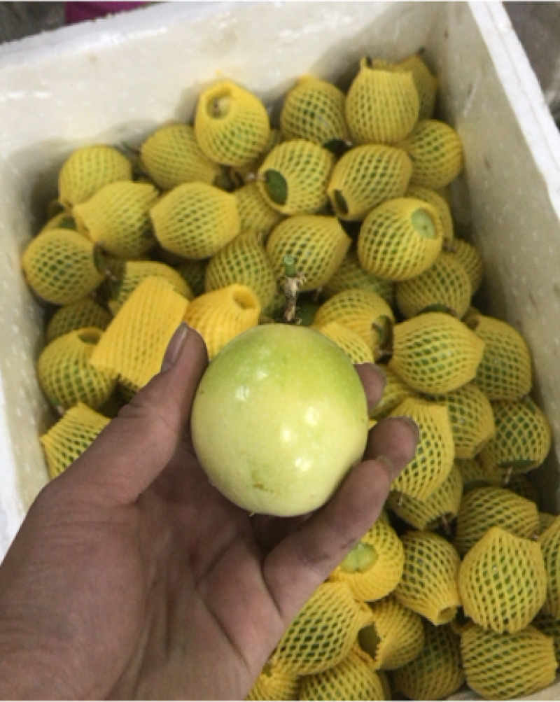 黄金百香果