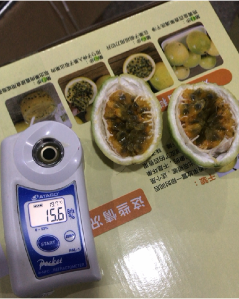黄金百香果
